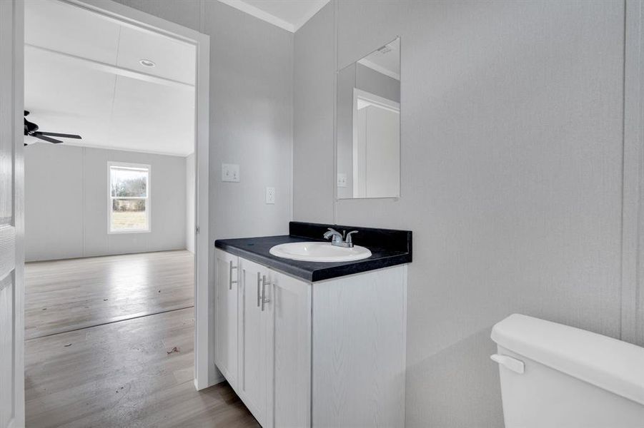 Bathroom with vanity, ornamental molding, light wood finished floors, and ceiling fan