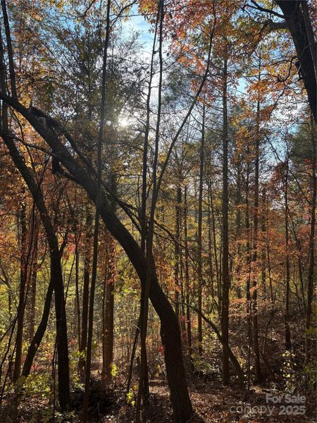 Natural landscape and outdoor views near in Weaverville (Image 30). Natural landscape and outdoor views near in Weaverville (Image 30).