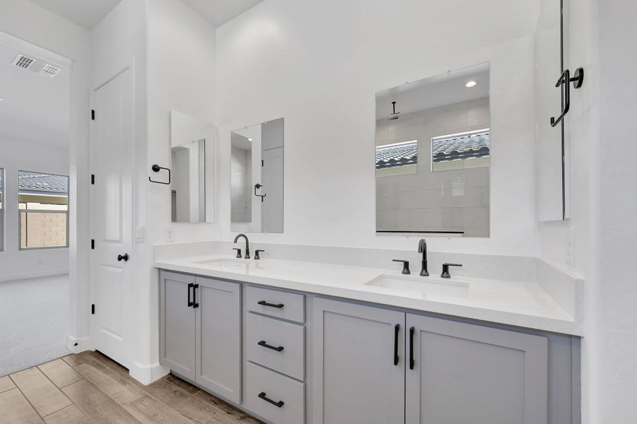 Owner's Bath
