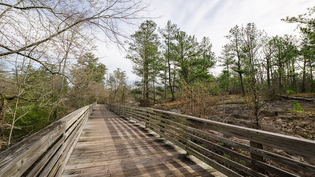 Natural landscape and outdoor views near Wellington Park in Lithonia (Image 22). Natural landscape and outdoor views near Wellington Park in Lithonia (Image 22).