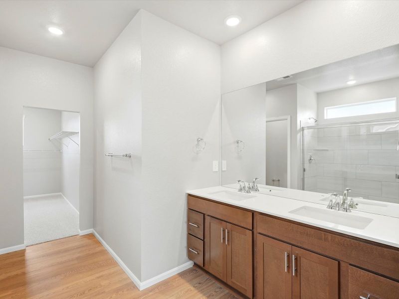 Furnished interior view inside a new home in Poudre Heights: The Alpine Collection, Windsor (Image 7).