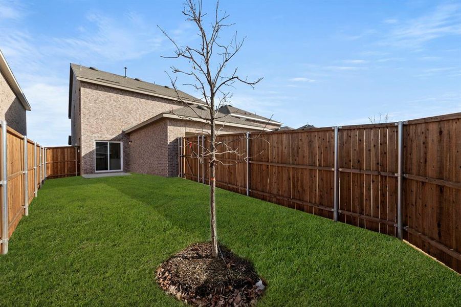 27. 3216 Dillonwood - Back (2)