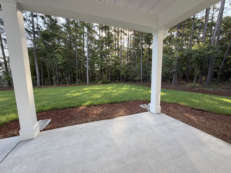Exterior details and patio area of a home in Parkwood Estates, Leland (Image 3).