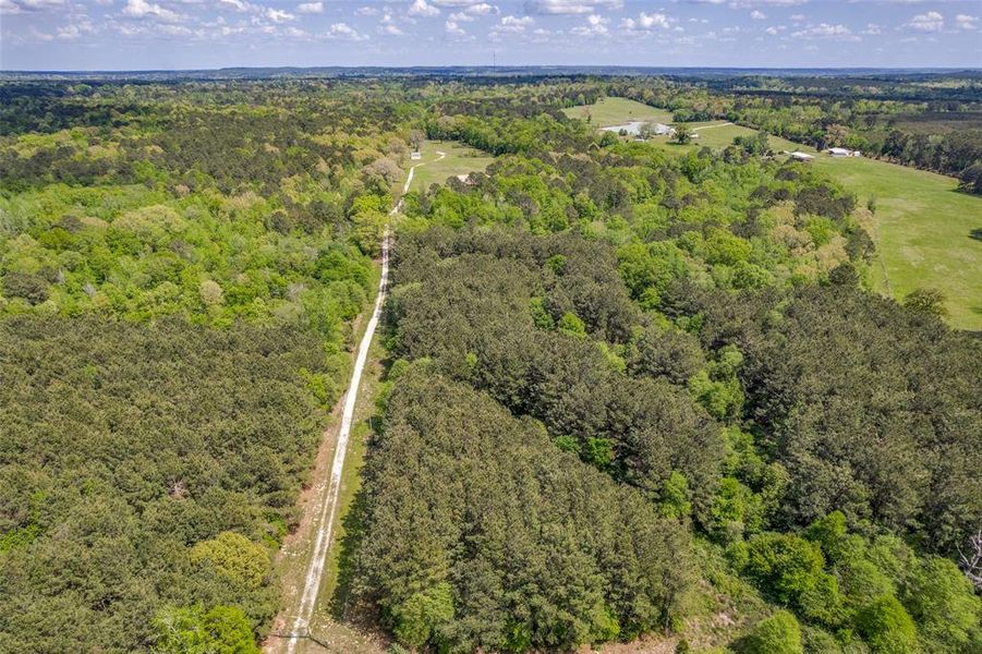 View of 42 acres.