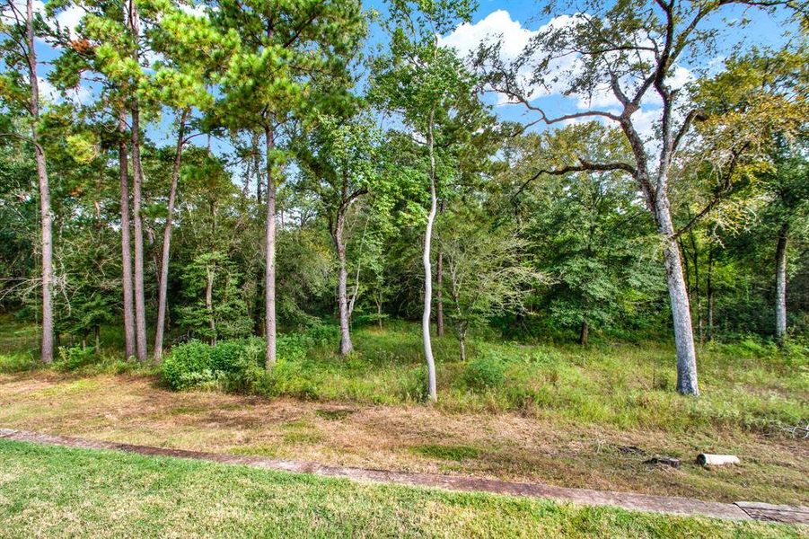 This is a lush, wooded lot with mature trees, offering privacy and a natural setting.  Watch the wildlife in the early morning or late evening from your back patio.