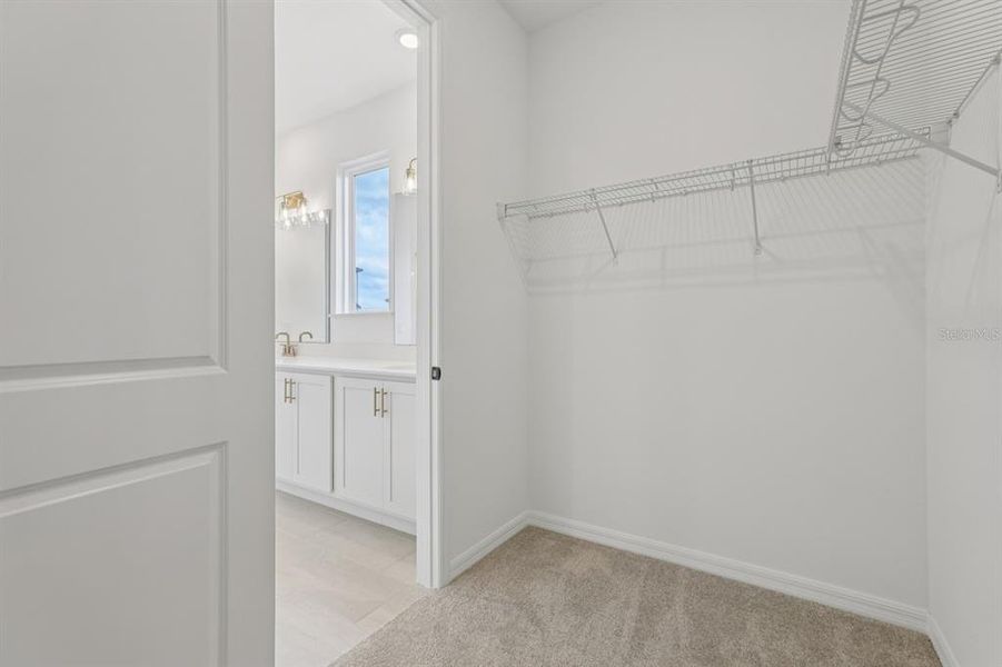 Spacious, unfurnished interior of a new home in Weslyn Park Single Family, St. Cloud (Image 30).