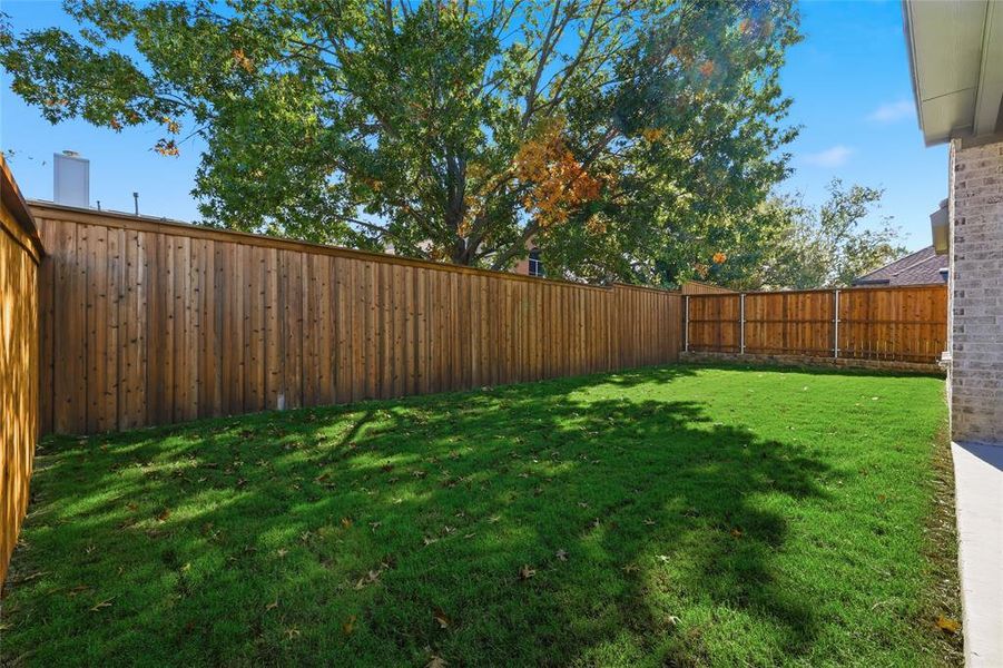 View of fenced backyard