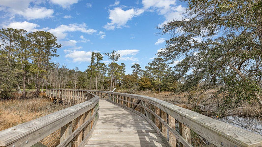Natural landscape and outdoor views near Brunswick Plantation in Ash (Image 18). Natural landscape and outdoor views near Brunswick Plantation in Ash (Image 18).