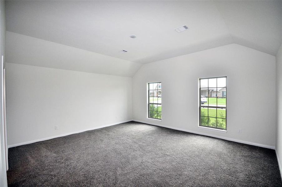 Vaulted ceiling in the spacious master bedroom.