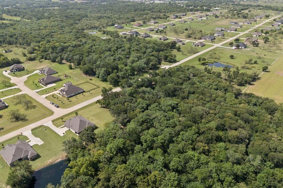 Aerial overview of property from the back.