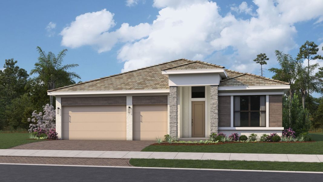 Priscilla-A-Tropical Modern