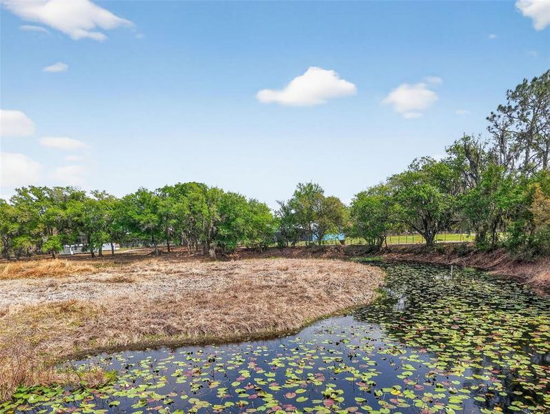 Natural landscape and outdoor views near  in Groveland (Image 28).