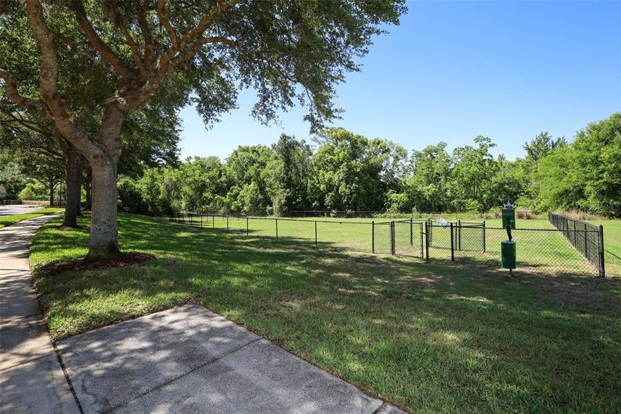 Natural landscape and outdoor views near  in Mount Dora (Image 41).