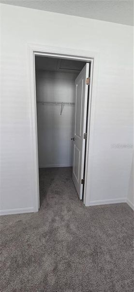 Spacious, unfurnished interior of a new home in Horse Creek at Crosswinds, Davenport (Image 11).