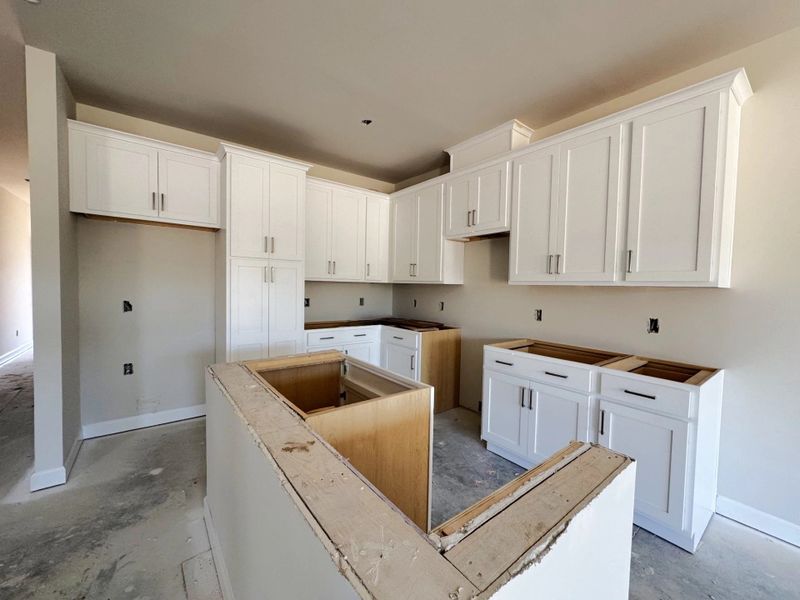 In-progress construction of a new home in Tea Farm, Ravenel, SC (Image 9).