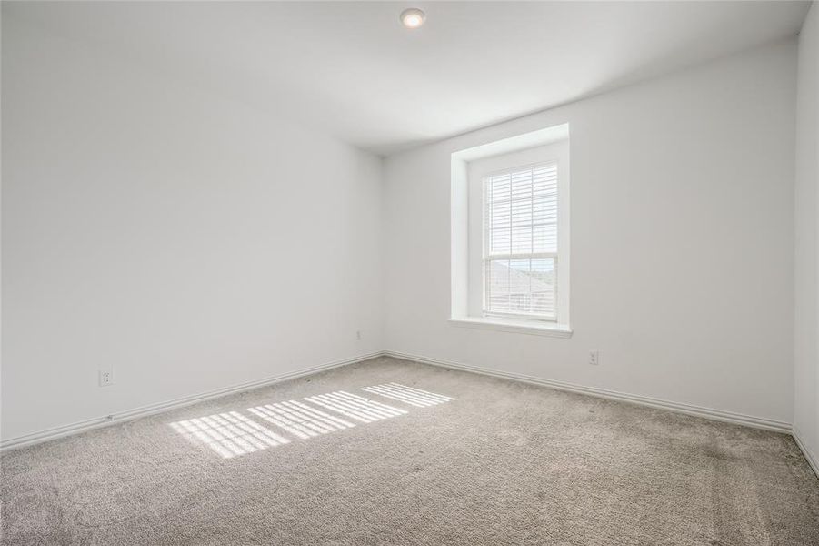 Carpeted empty room with baseboards Carpeted empty room with baseboards