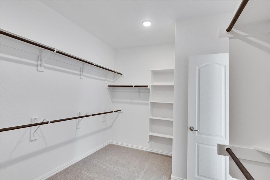 Spacious closet with light colored carpet Spacious closet with light colored carpet