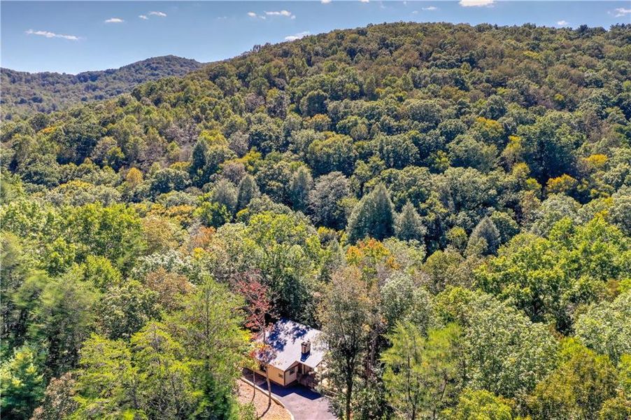 Natural landscape and outdoor views near in Cherry Log (Image 48). Natural landscape and outdoor views near in Cherry Log (Image 48).