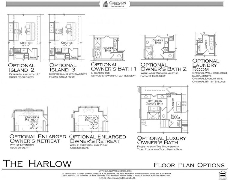 2D floor plan layout for the Harlow by Celebration Homes in Harvest Point, Spring Hill, TN (Image 4).