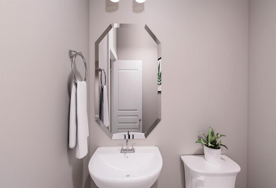 Discovery Collection at The Meadows