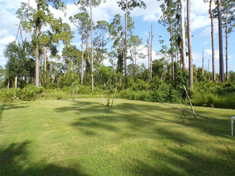 Natural landscape and outdoor views near  in North Port (Image 42).