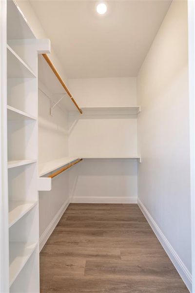 Spacious closet featuring hardwood / wood-style flooring