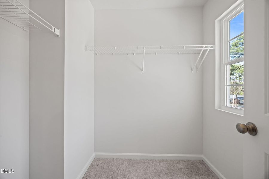 43-web-or-mls-IMG_9071