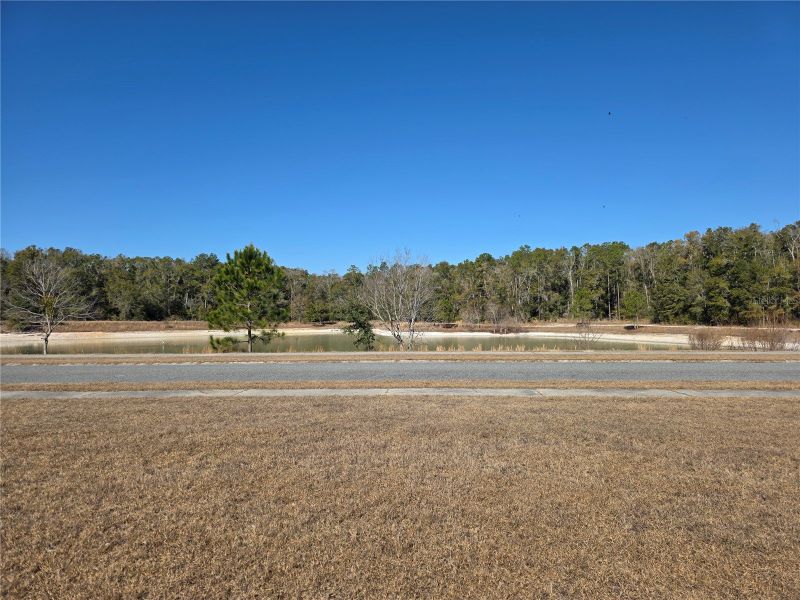 Image 30 of a home in The Preserve at Laurel Lake.
