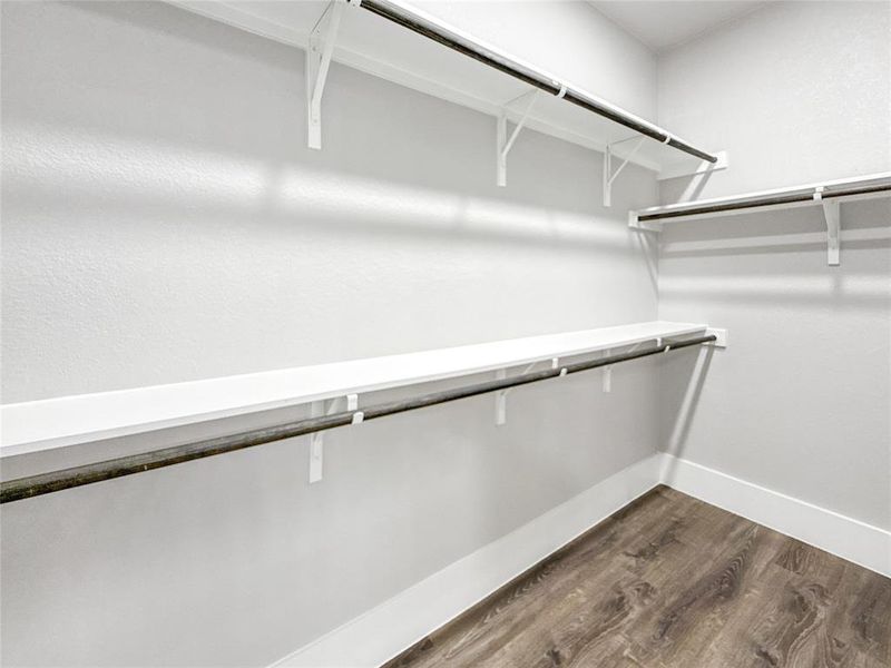 Walk in closet featuring dark wood-style floors