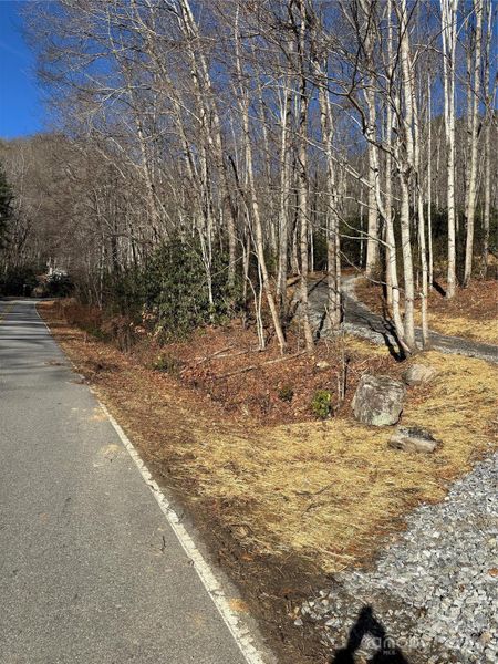 Natural landscape and outdoor views near  in Maggie Valley (Image 7).