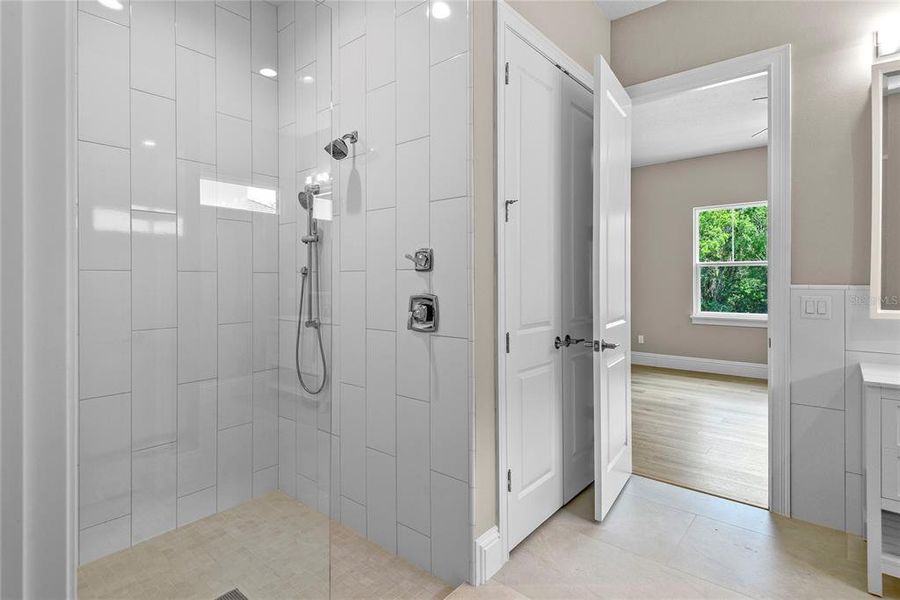 Primary Bathroom Shower