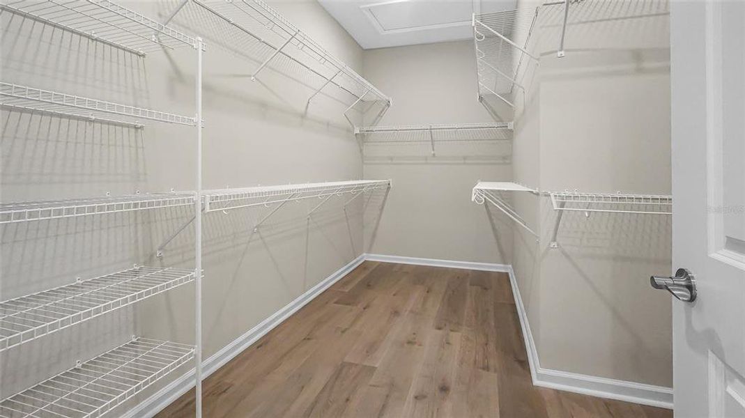 Spacious, unfurnished interior of a new home in Cresswind at Hammock Oaks, Lady Lake (Image 42). Spacious, unfurnished interior of a new home in Cresswind at Hammock Oaks, Lady Lake (Image 42).