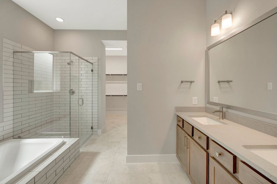 Owner's Bath