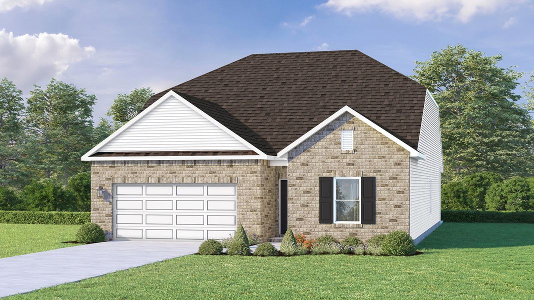 Traditional 1 - Vinyl (R2)