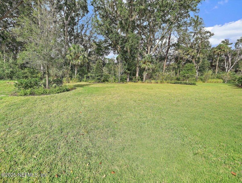 Natural landscape and outdoor views near  in Ponte Vedra (Image 55).