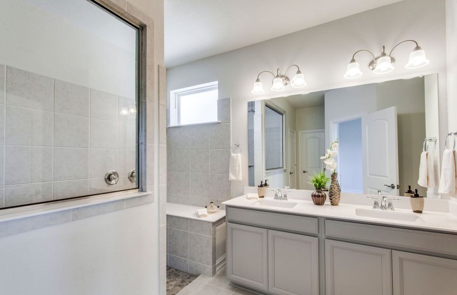Optional Walk-in Shower