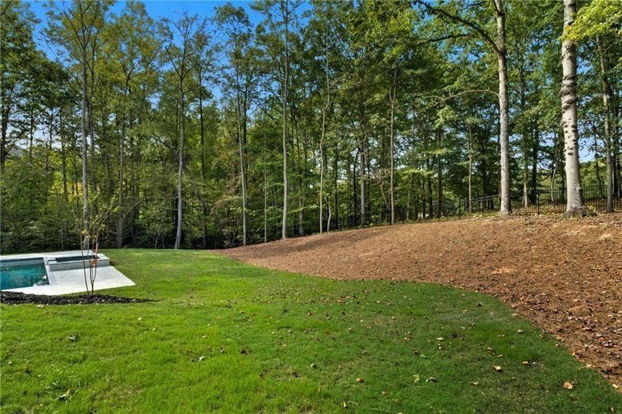 Natural landscape and outdoor views near  in Alpharetta (Image 105).