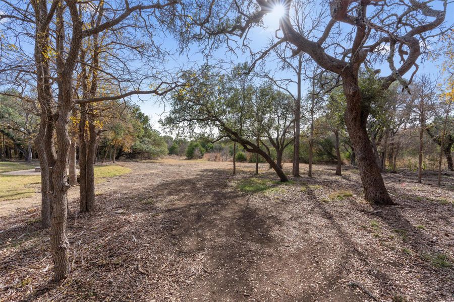 A peaceful, wooded backyard that invites you to slow down, connect with nature, and enjoy the quiet beauty of the land just outside your door. A peaceful, wooded backyard that invites you to slow down, connect with nature, and enjoy the quiet beauty of the land just outside your door.