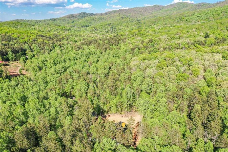 Natural landscape and outdoor views near  in Ellijay (Image 46).