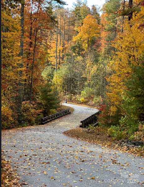 Natural landscape and outdoor views near  in Zirconia (Image 26).