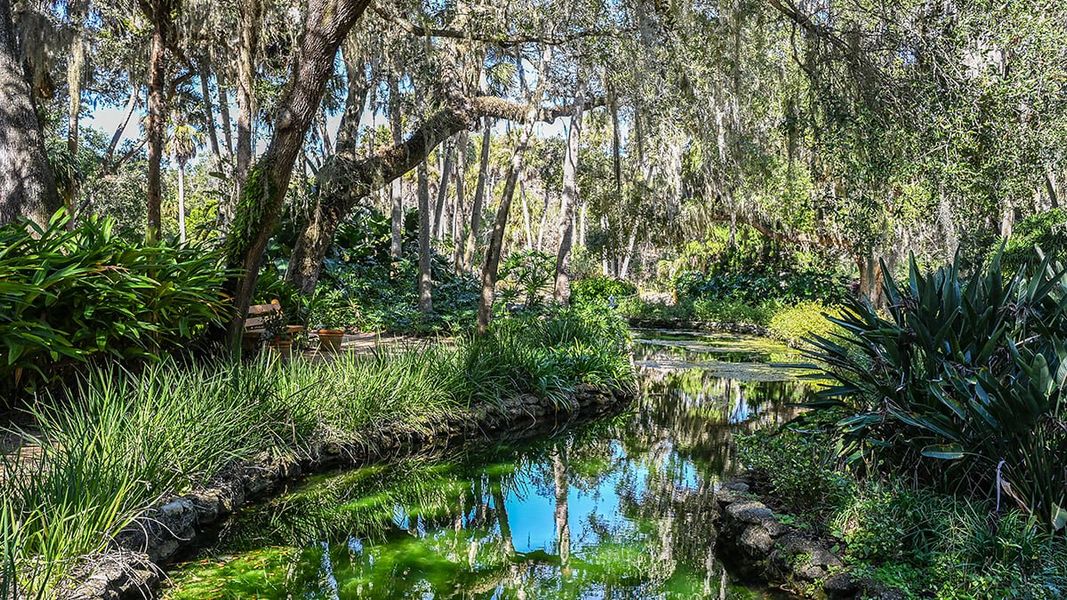 Natural landscape and outdoor views near Colbert Landings in Palm Coast (Image 98).
