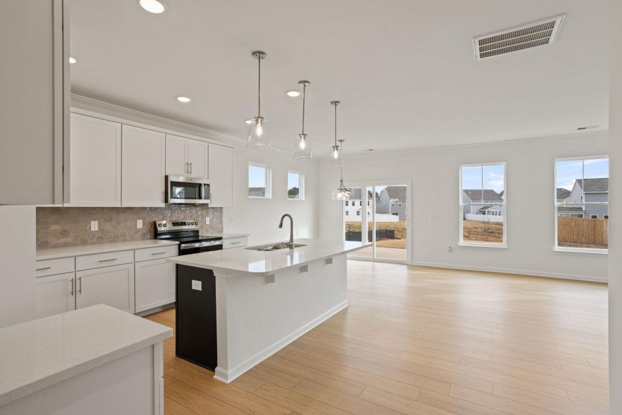 Furnished interior view inside a new home in Harrington, Greenville (Image 7). Furnished interior view inside a new home in Harrington, Greenville (Image 7).