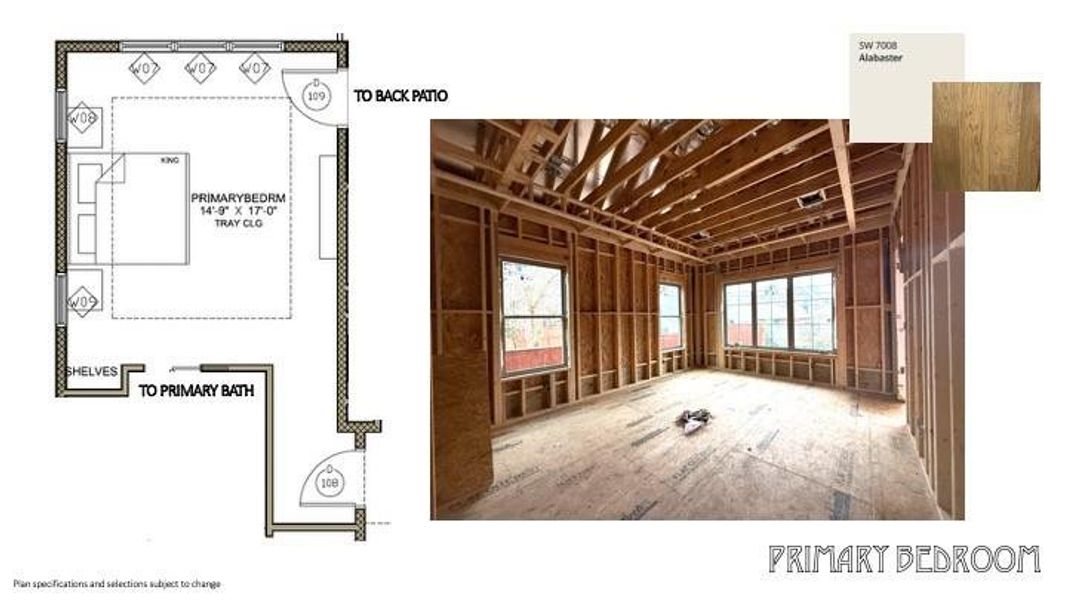 Spacious 1st floor primary bedroom with tray ceiling, large windows and doorway leading to the back porch.