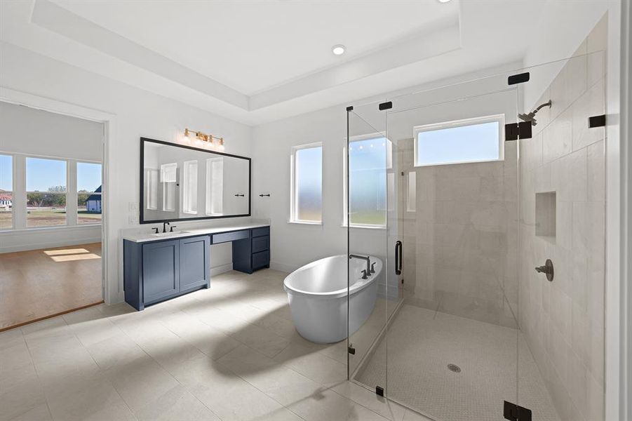 Bathroom featuring a soaking tub, vanity, a shower stall, and a raised ceiling Bathroom featuring a soaking tub, vanity, a shower stall, and a raised ceiling