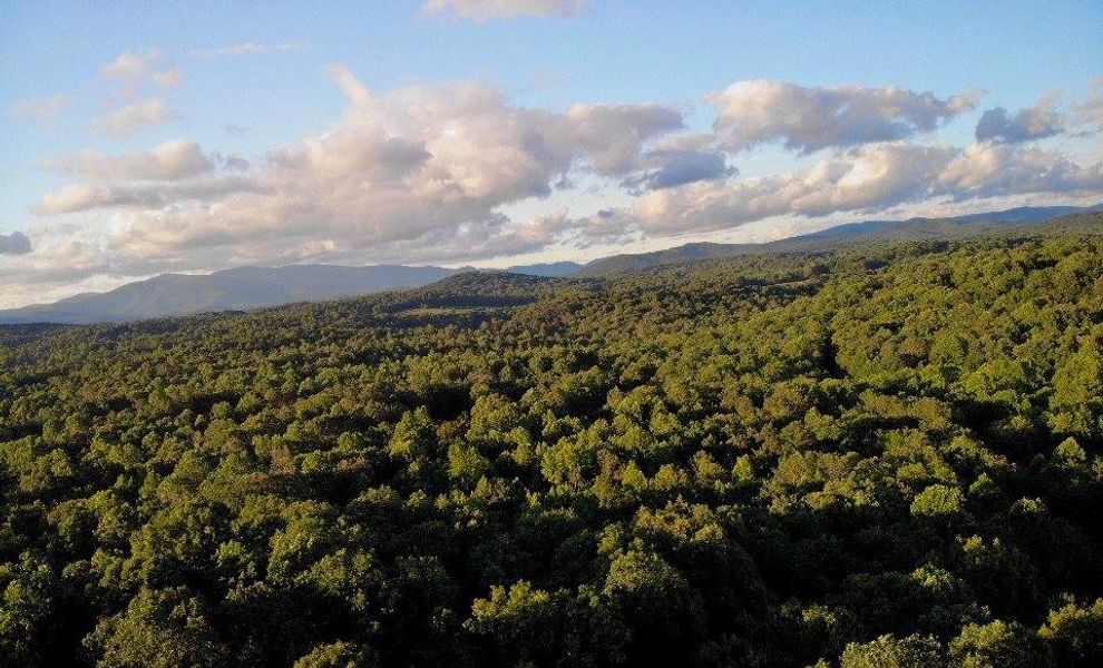 Natural landscape and outdoor views near  in Ellijay (Image 8).