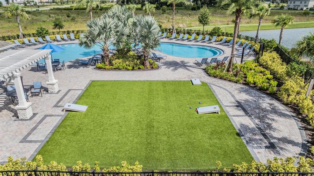 Community amenities in , Wesley Chapel (Image 26). Community amenities in , Wesley Chapel (Image 26).