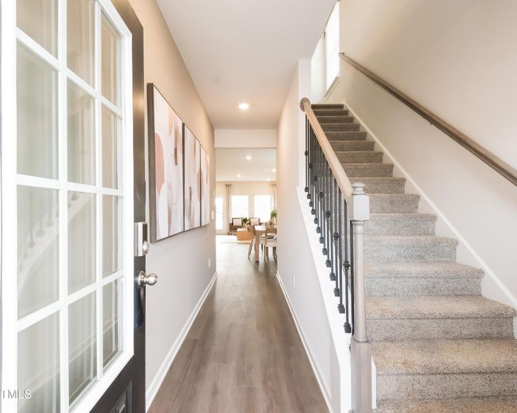 01_Paisley_Entry 01_Paisley_Entry