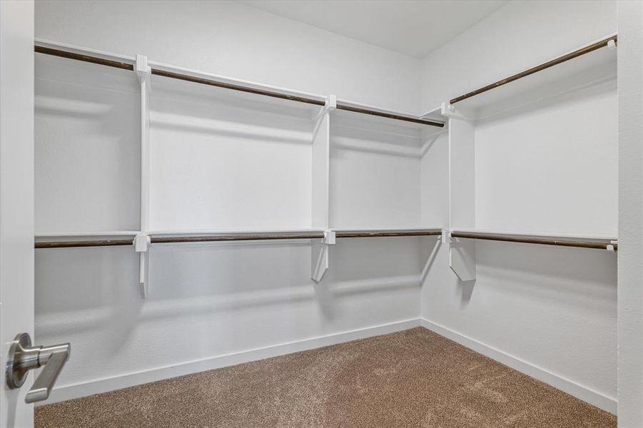 Spacious master closet featuring carpet floors Spacious master closet featuring carpet floors