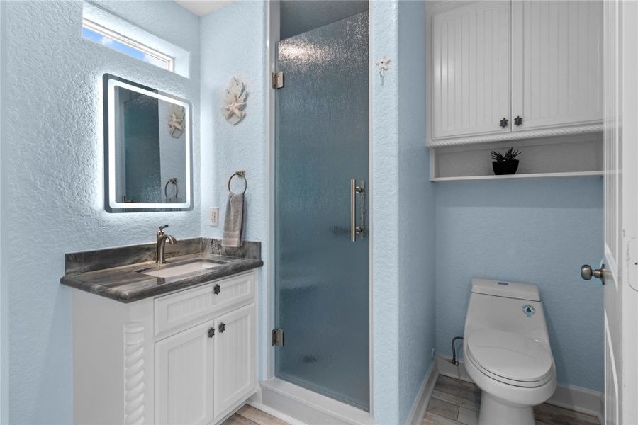 Luxury Brazilian Quartzite countertop and LED lighted mirror. Downstairs full bathroom.