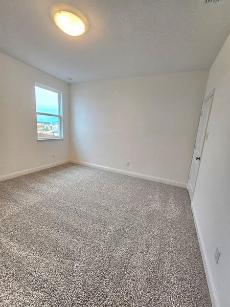 3rd bedroom ceiling light  and carpet flooring